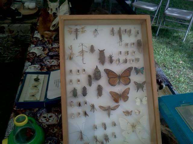 Kiesel Park-奥本必去景点