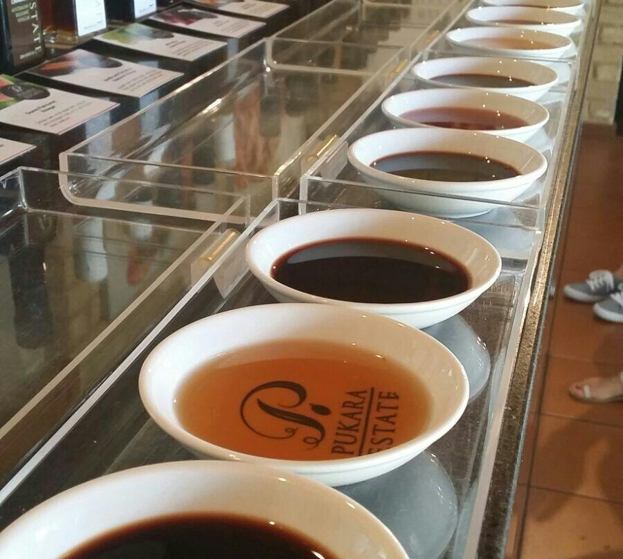 Pukara Estate-Muswellbrook必去景点