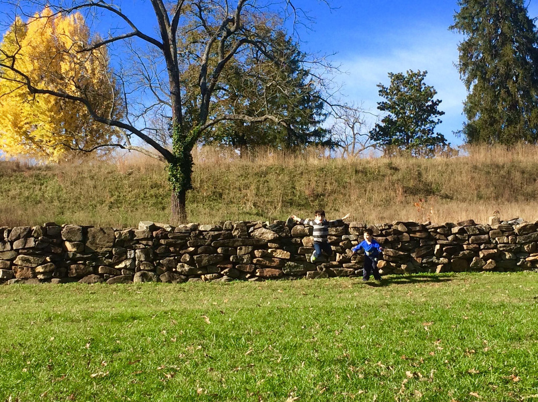 Chancellorsville Battlefield and Visitor Center景点图片