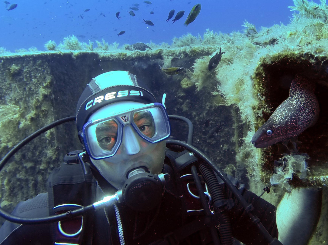 Nemo Dive Center-拉纳加必去景点