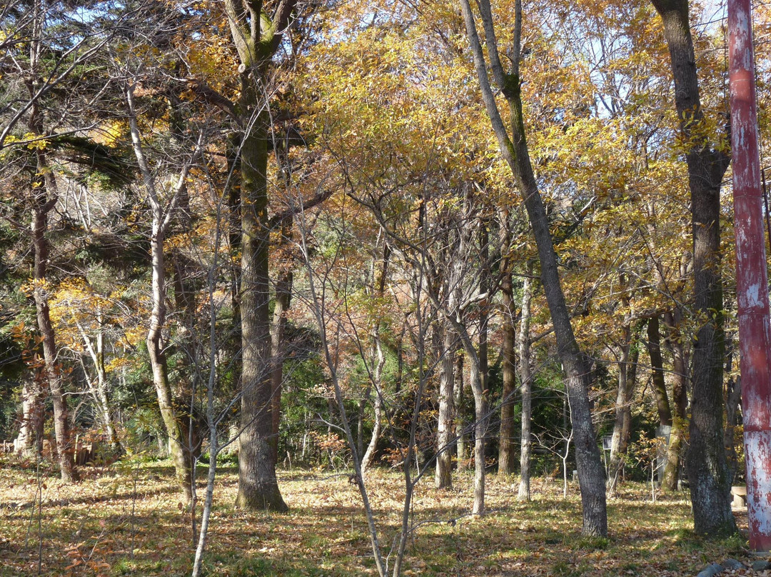 Hamura Folk museum-羽村市必去景点