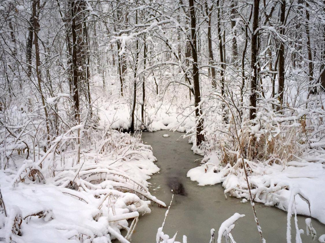 Edward L. Ryerson Conservation Area-Riverwoods必去景点