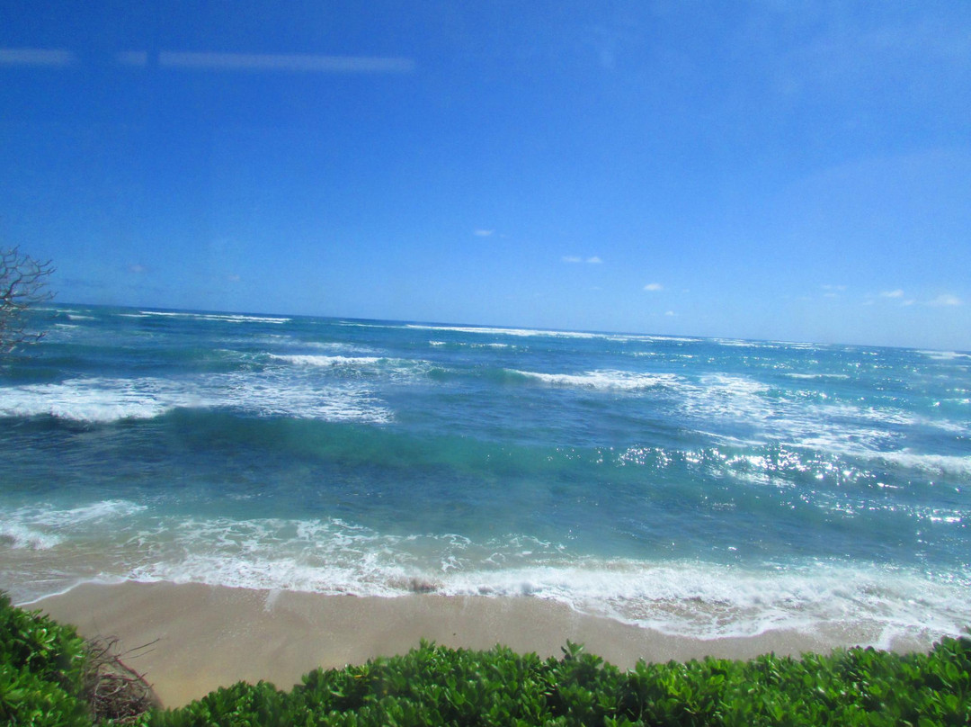 Swanzy Beach Park-卡阿瓦必去景点