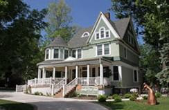 The Ginkgo Tree主图