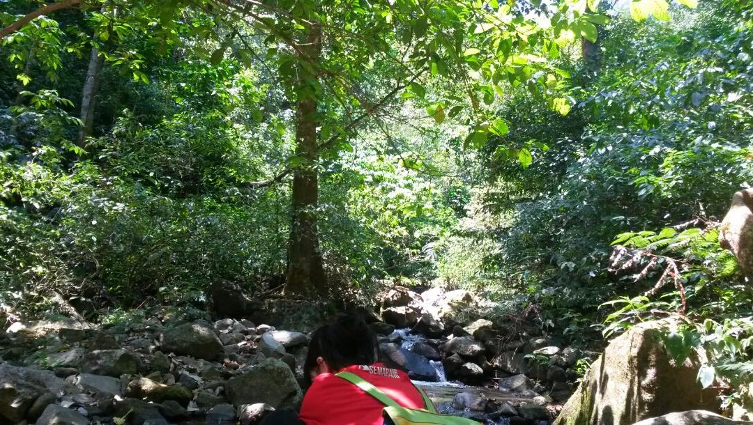 Benowo waterfall景点图片