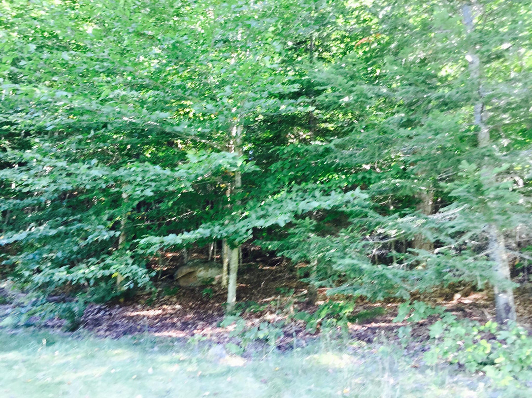 Deerhurst Highlands Golf Course-亨茨维尔必去景点