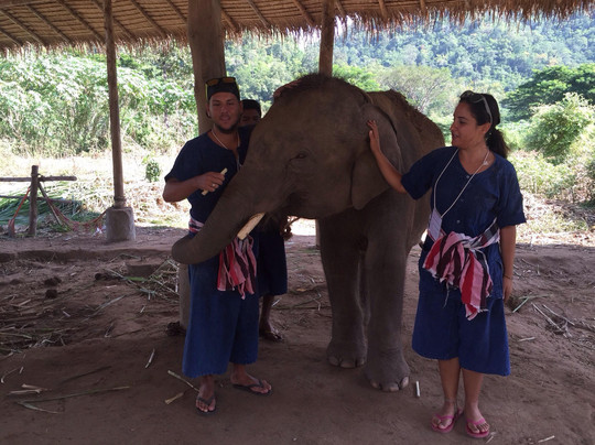 昌泰大象保护区-清迈必去景点