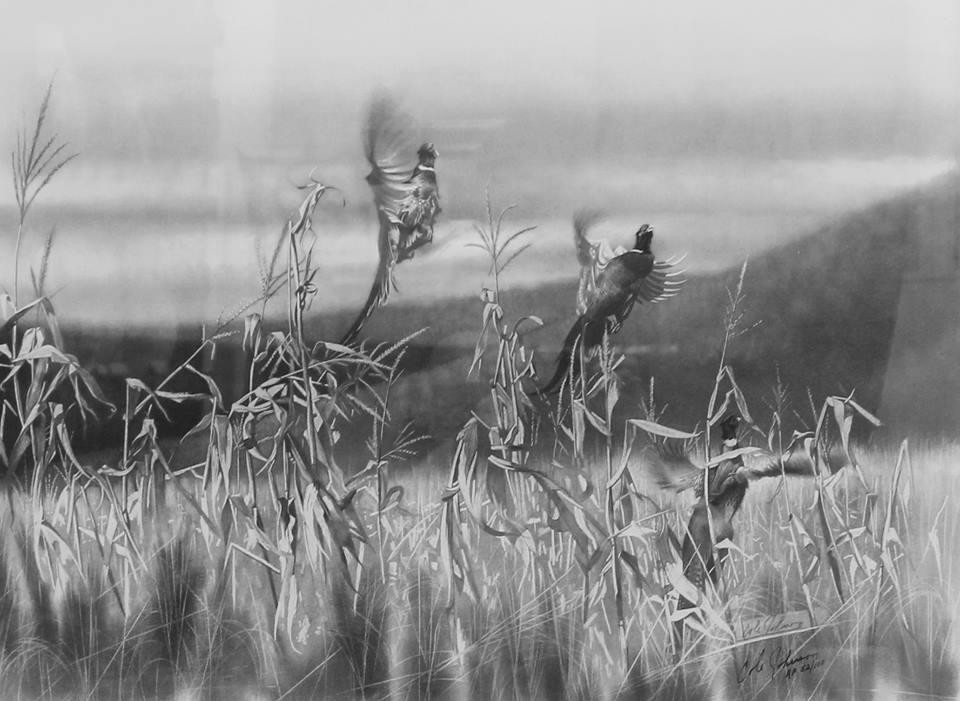 Painted Finch Gallery Inc.景点图片
