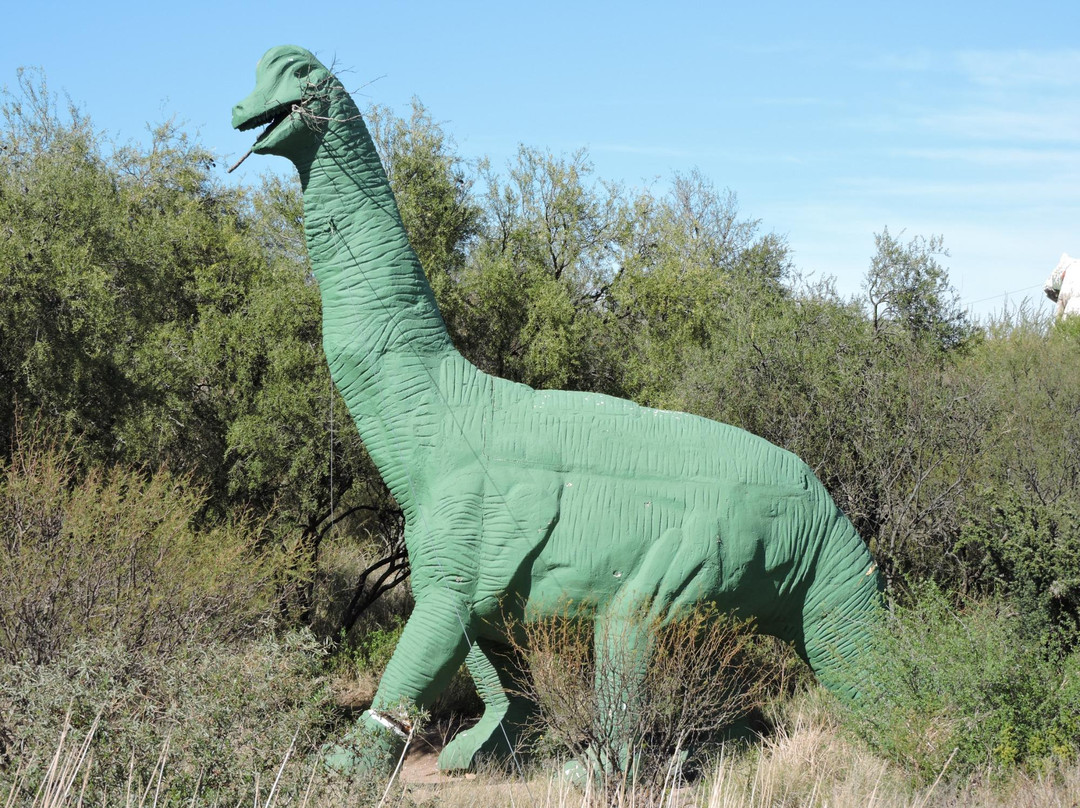 Hito del Bicentenario-San Luis必去景点