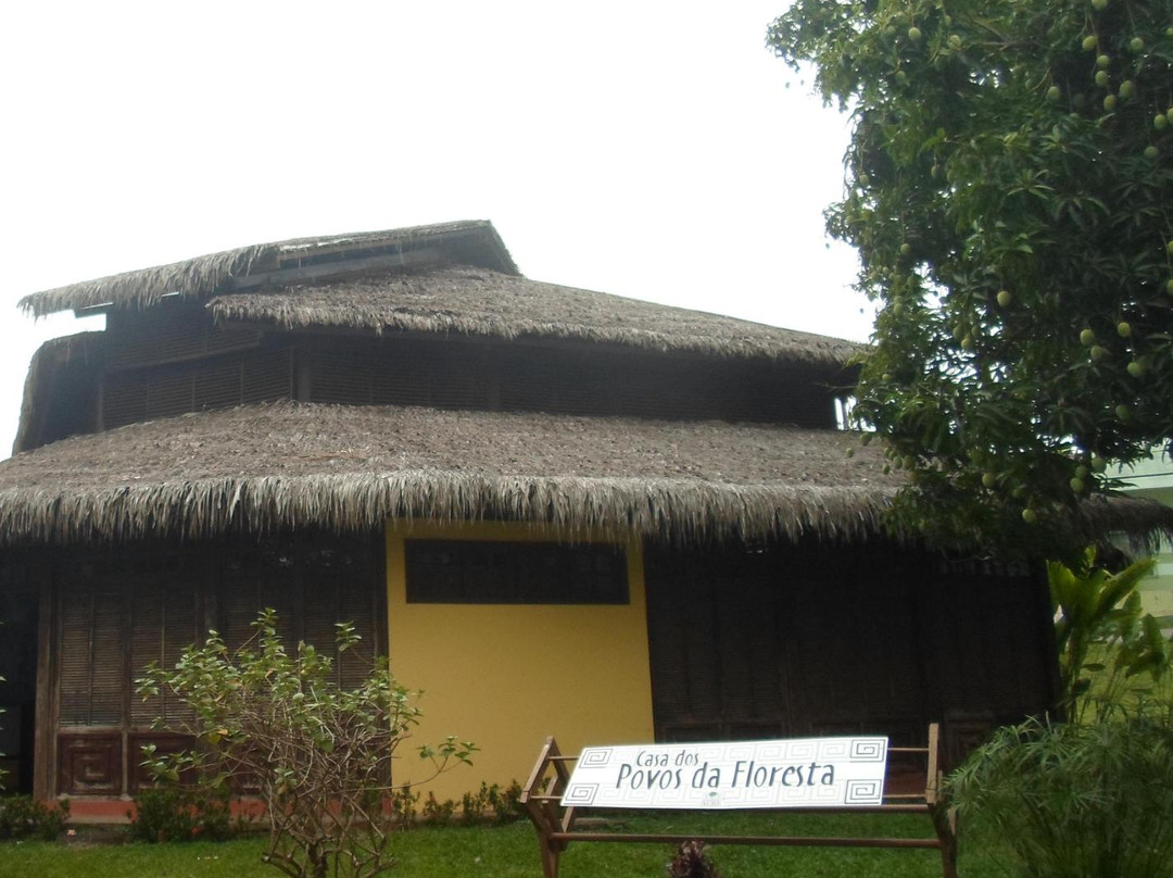 House of Peoples of the Forest-Rio Branco必去景点