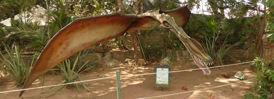 Observatorio Astronomico Antares-Feira de Santana必去景点