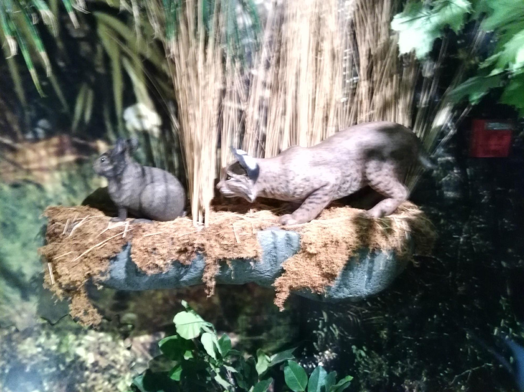 Daggerwing Nature Center-博卡拉顿必去景点