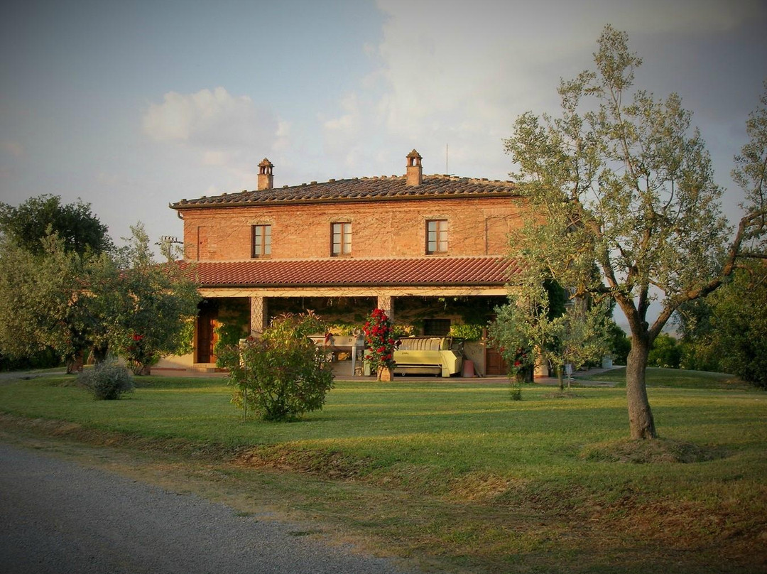 Azienda Agricola Romeo-蒙特普尔恰诺必去景点