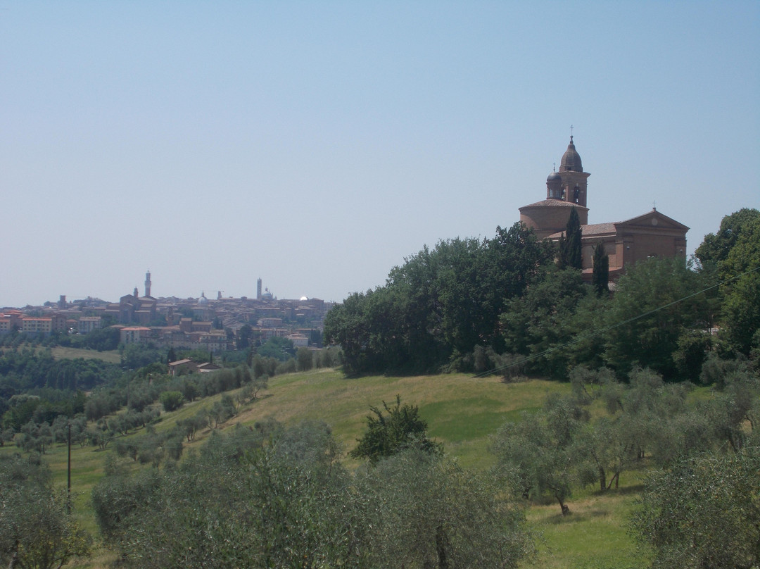 Basilica dell'Osservanza景点图片