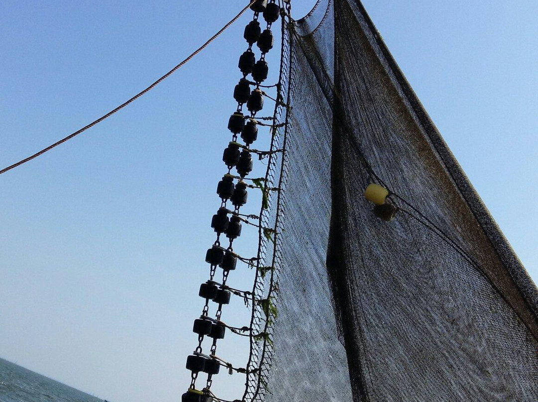 TX35 De Zeester - Boat Tour-Oudeschild必去景点