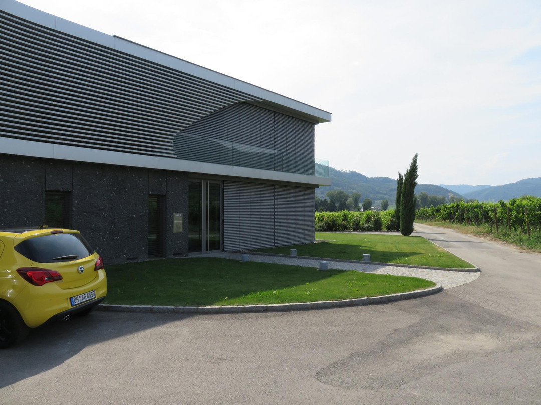 都恩石旅游景点-Weingut F.X. Pichler