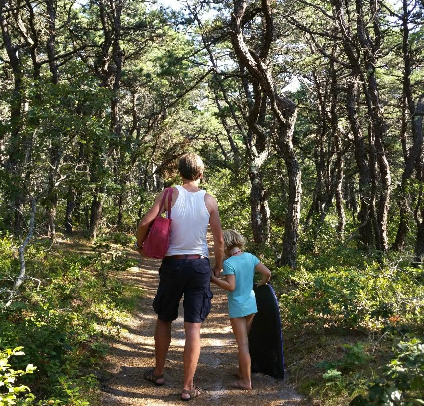 Adventure Bound Camping Resorts - Cape Cod