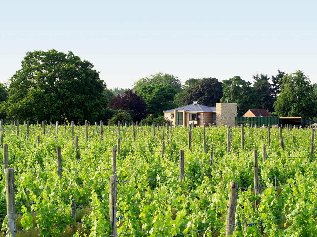 Bothy Vineyard-罗契斯特必去景点