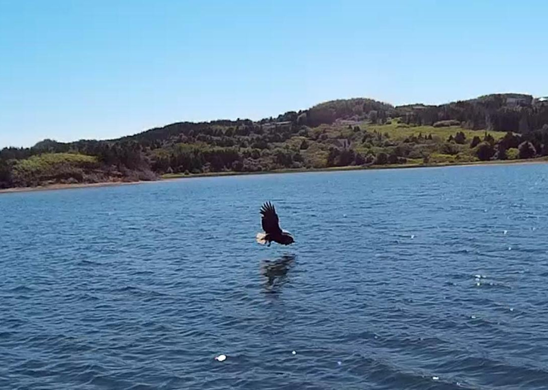 Eagle Eye Outfitters-Inverness必去景点