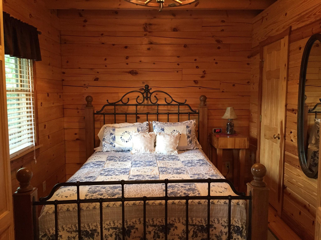 Lydia Mountain Lodge And Log Cabins