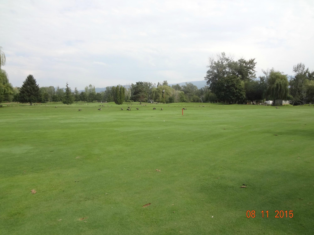 Mission Creek Golf Club景点图片