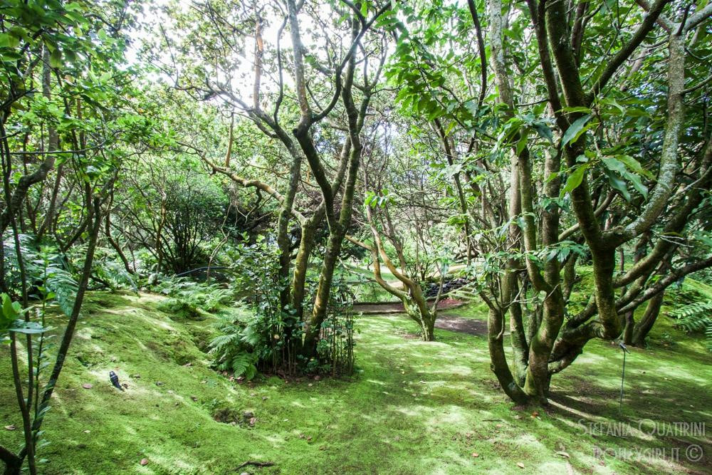 Faial Botanic Garden
