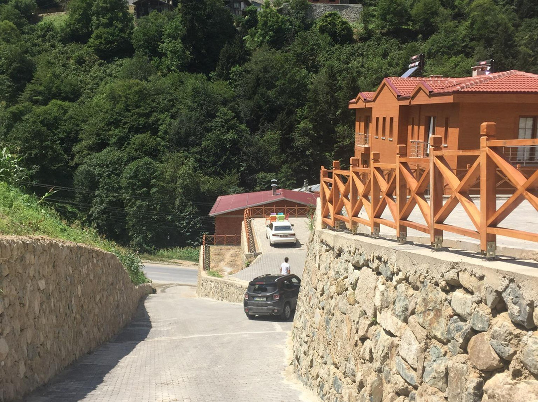 Uzungol Taskiran Ela Hotel主图