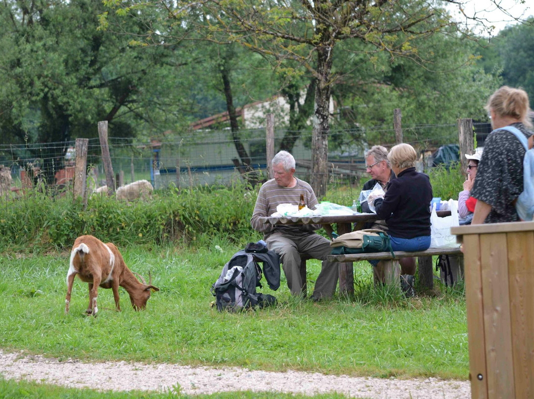 Réserve Naturelle du Marais de Lavours-Ceyzerieu必去景点