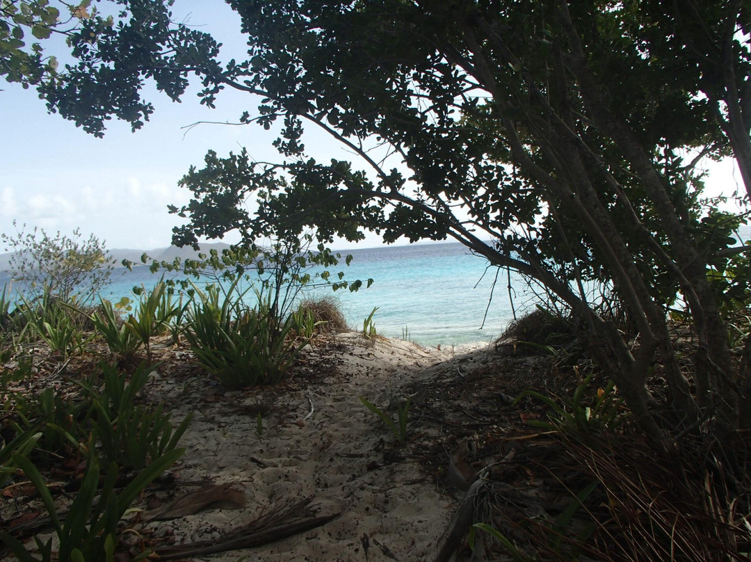 Sandy Cay-英属维尔京群岛必去景点