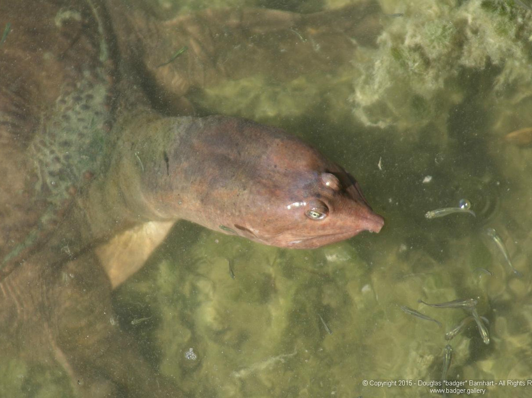 Central Park-奥蒙德海滩必去景点
