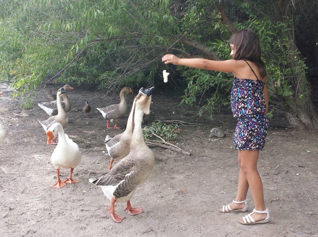 Beus Pond Park景点图片