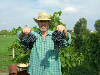 Valentino Vineyards-Long Grove必去景点