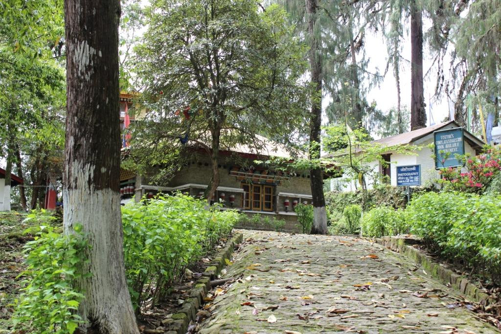 Coronation Throne Of Norbugang-Yuksom必去景点