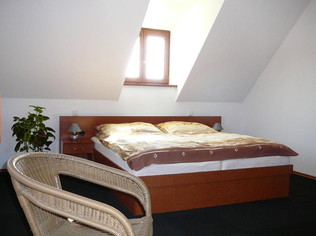 Dolni Trebonín酒店住宿-Praktik Penzion Krumlov