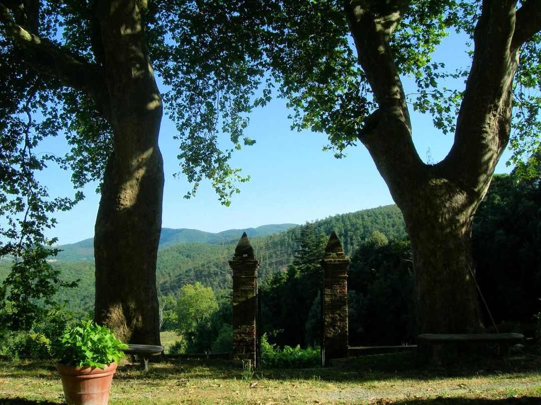 Agriturismo Montevaso