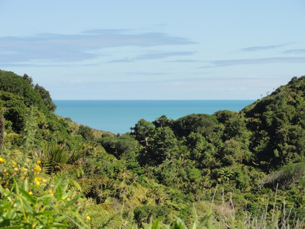 Whitecliffs Walkway-新普利默斯必去景点