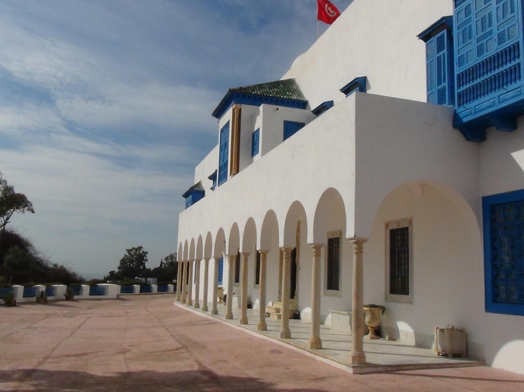 Dar Nejma Ezzahra 宫殿-蓝白小镇必去景点