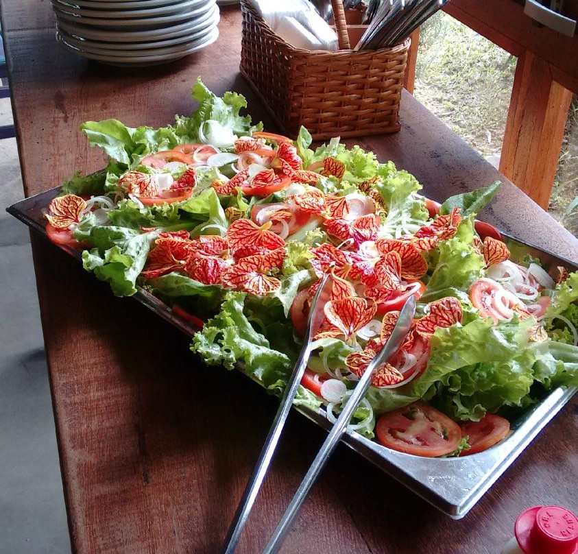 Queluz餐馆和美食-Aguas Da Marambaia