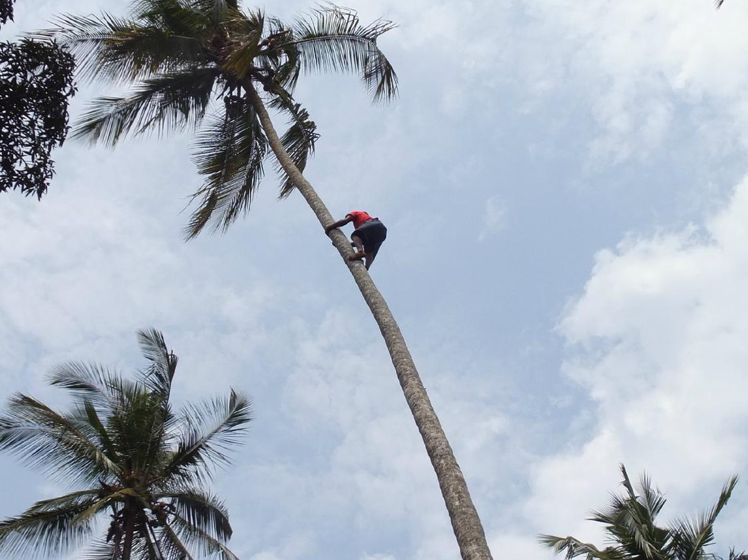 Kendwa Community Tours & Safaris