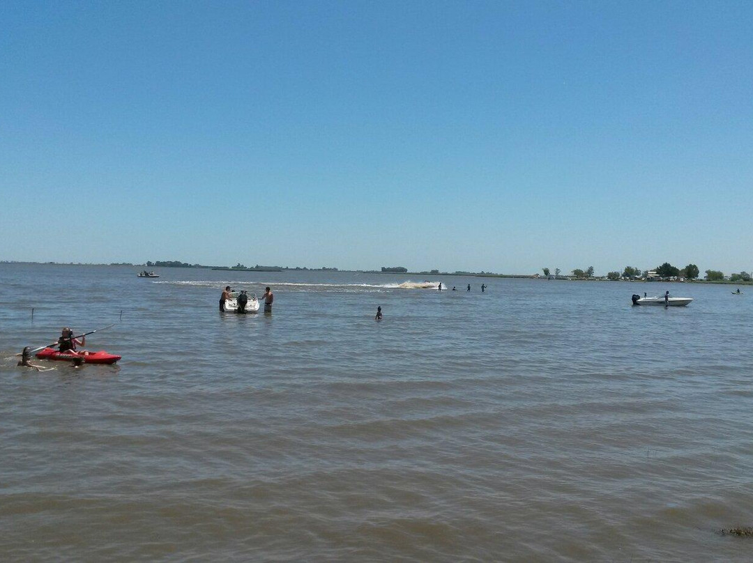 Parque Natural Laguna de Gomez景点图片