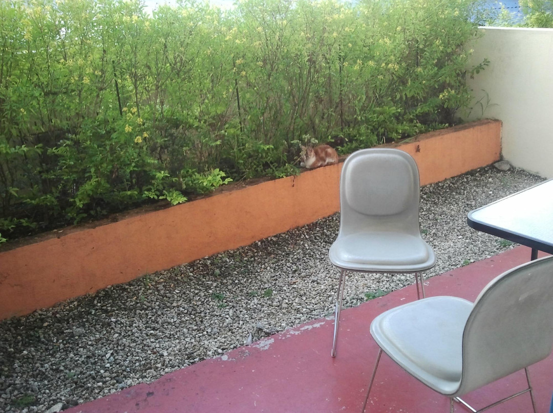 Pacific Paradise Motel主图