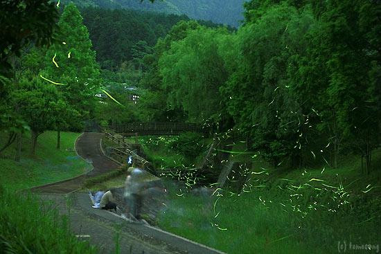 Hotarunosato, Motogi River Park-福津市必去景点