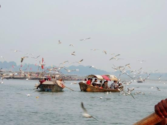 Old Naini Bridge-阿拉哈巴德必去景点