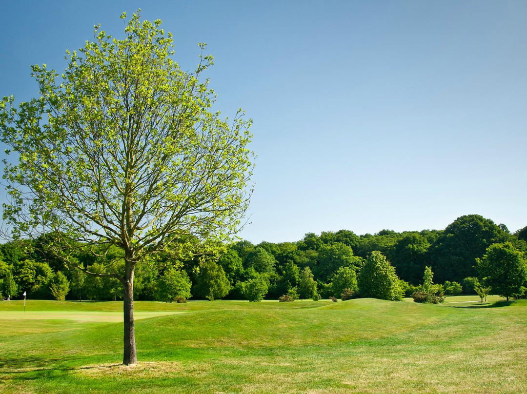 The Burstead Golf Club景点图片