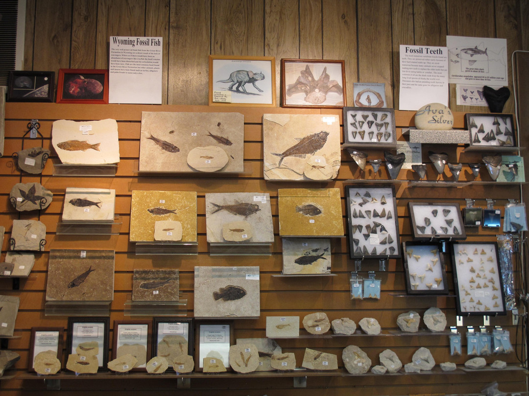 Ava's Silver and Rock Shop-瑟莫波利斯必去景点