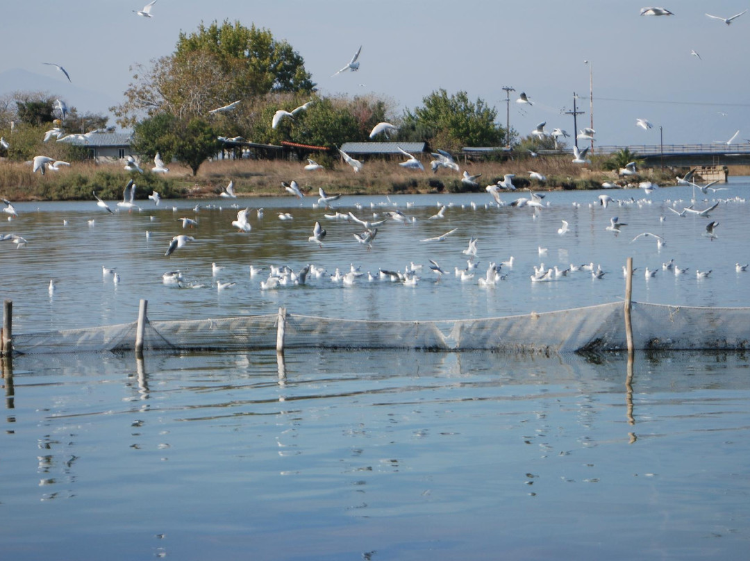East Macedonia and Thrace National Park Information center景点图片