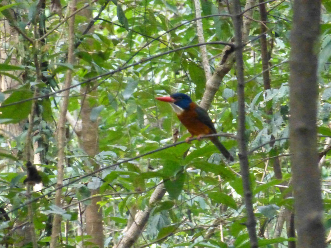 Mama Roos Home Stay主图