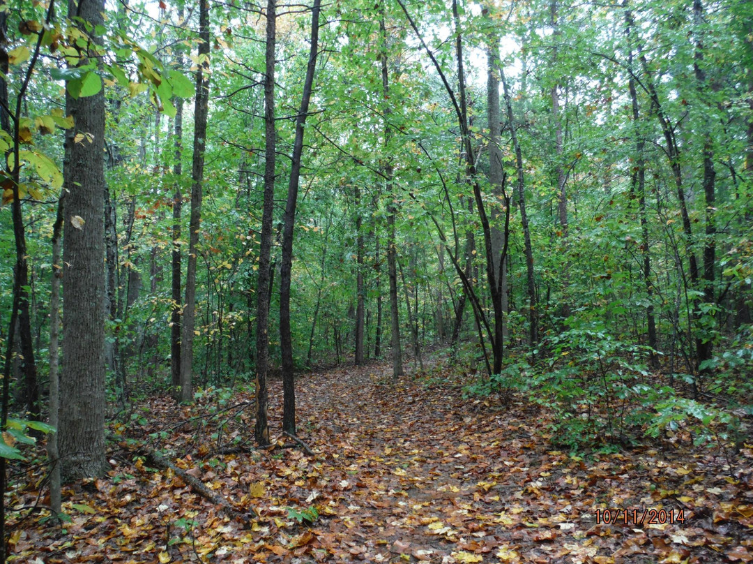 Cumberland旅游攻略图片