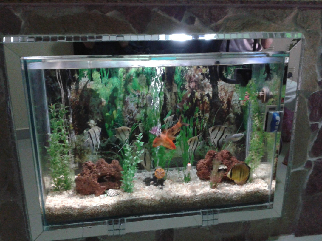 Encontro Das Aguas Hotel主图