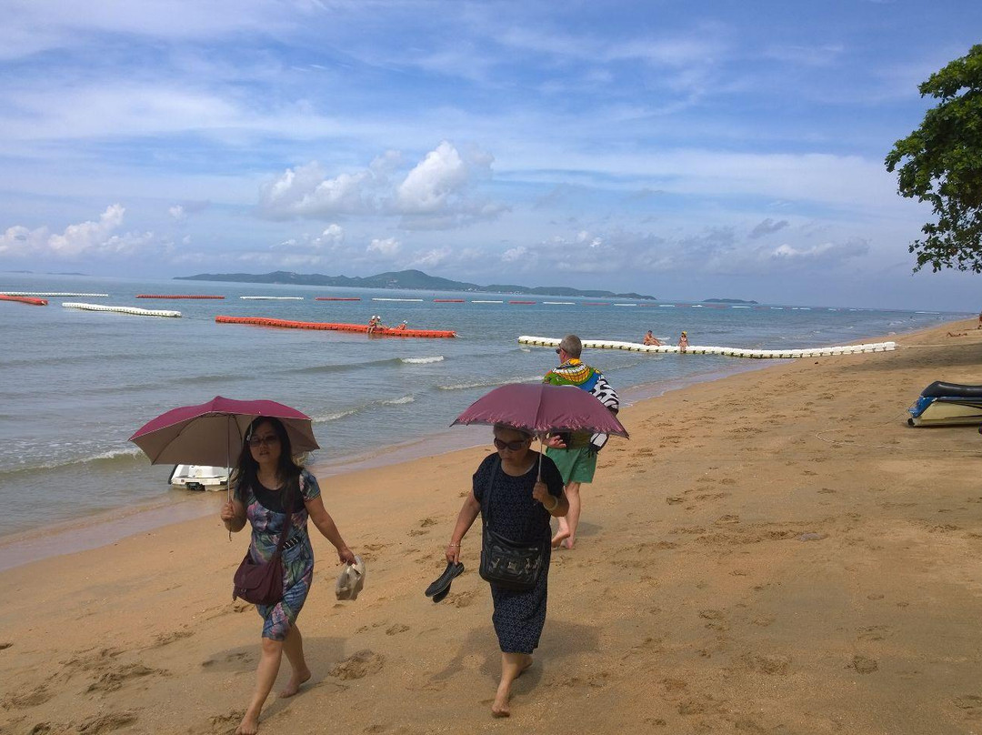Dongtan Beach景点图片